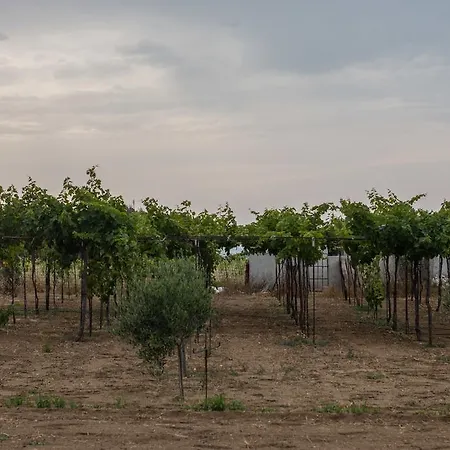 דירה Kalea Luxury Agia Anna (Naxos)