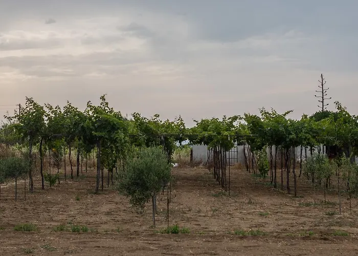 Διαμέρισμα Kalea Luxury Αγία Άννα